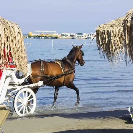 Olive Grove Apts Appartamento