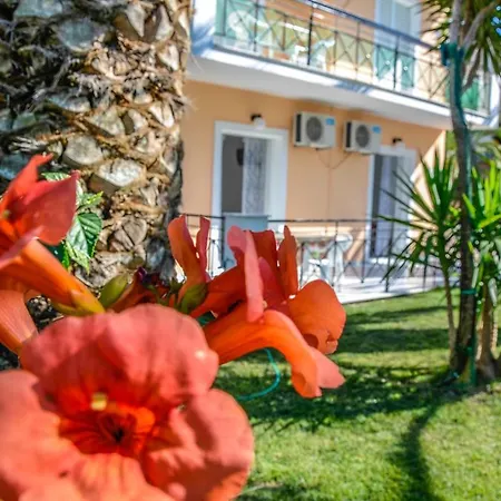 Olive Grove Apts Апартаменты Литакия