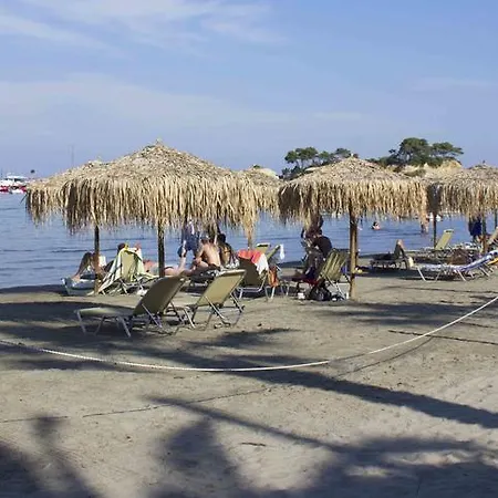 Olive Grove Apts * Литакия