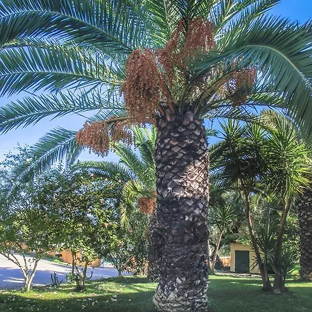 Olive Grove Apts 아파트