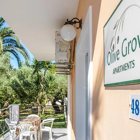 Διαμέρισμα Olive Grove Apts Λιθακιά