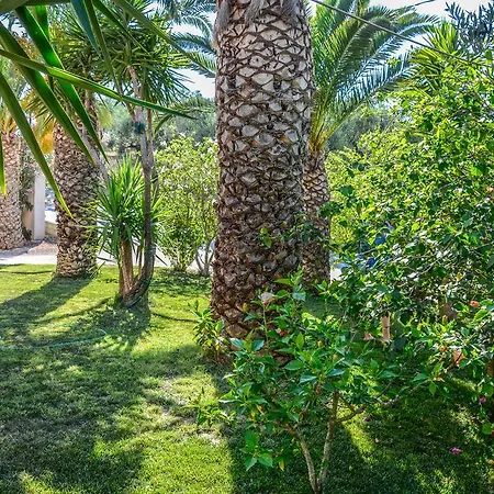 Olive Grove Apts * Λιθακιά