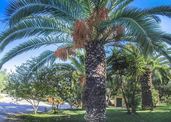 Olive Grove Apts Daire