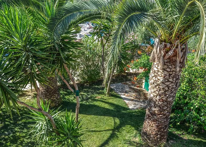 Daire Olive Grove Apts *