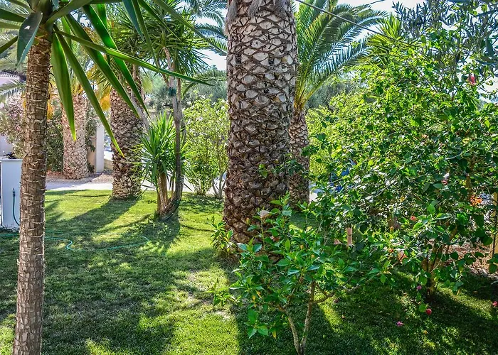 Olive Grove Apts * Lithakia (Zakynthos)