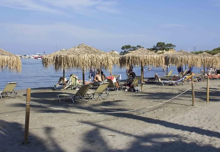 Olive Grove Apts * Lithakia (Zakynthos)