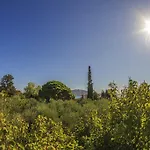 Olive Grove Apts *