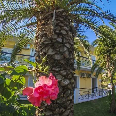 Olive Grove Apts דירה