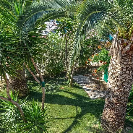 Lägenhet Olive Grove Apts *